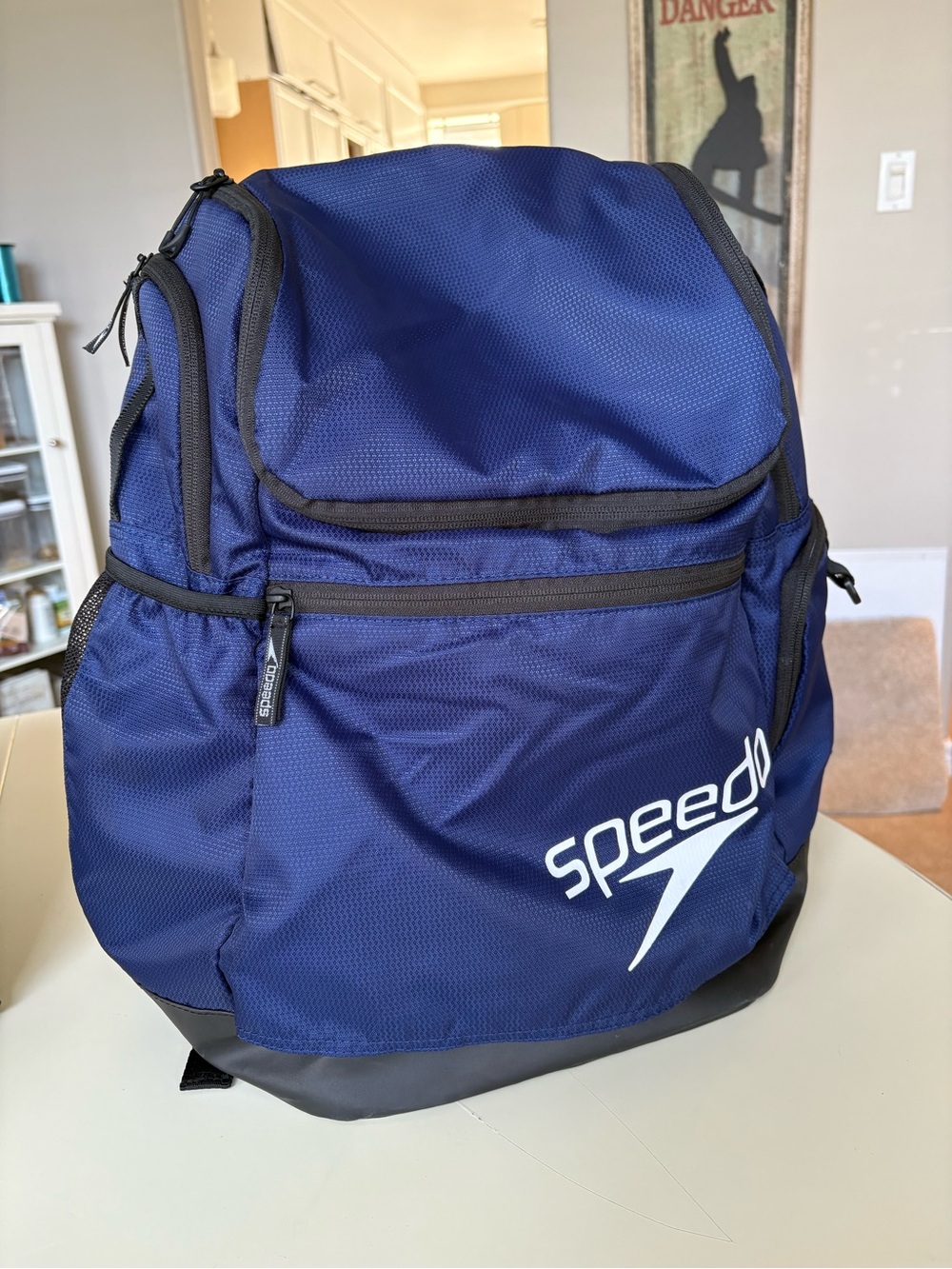 Speedo Navy and Black Men's Backpack
